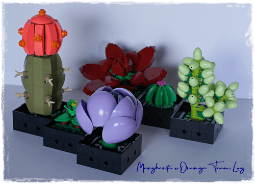 LEGO 10309 Succulents 13