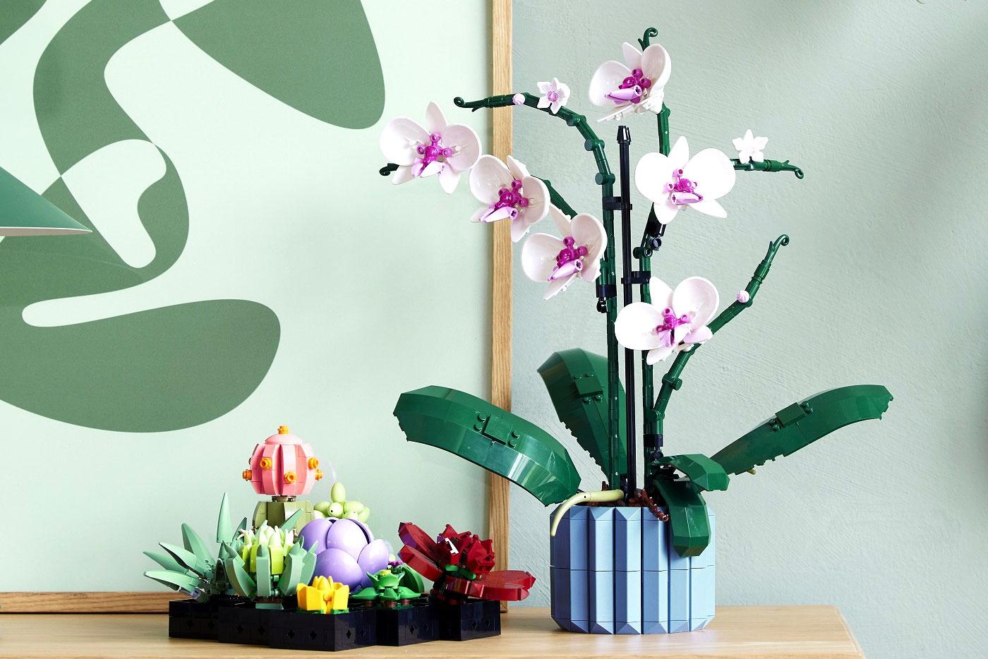 Orchidea e Piante Grasse i nuovissimi set della Lego per adulti