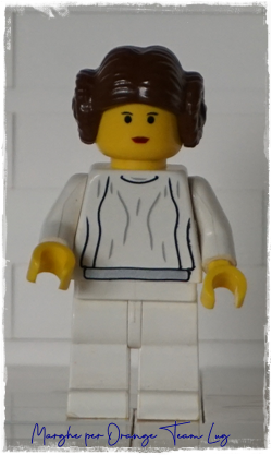 SW0026 – LEIA ORGANA: STORIA DI UNA MINIFIG LEGO® STAR WARS™