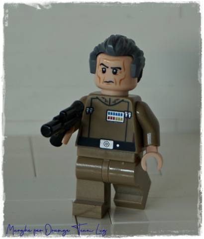 SW0741 – GRAN MOFF WILHUFF TARKIN: STORIA DI UNA MINIFIG LEGO® STAR WARS™